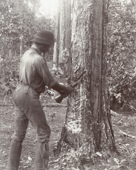 Turpentine Workers